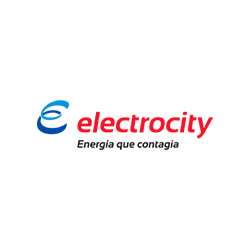 electrocity